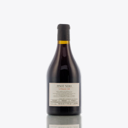 La Palazzola Pinot Nero 2020