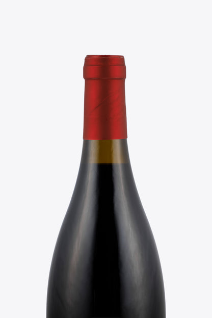 Monleale 2011 - Vigneti Massa