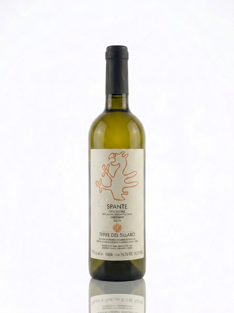 Terre del Sillabo Spante 2015