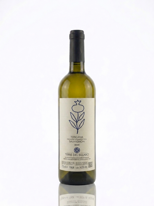 Terre del Sillabo Sauvignon 2024